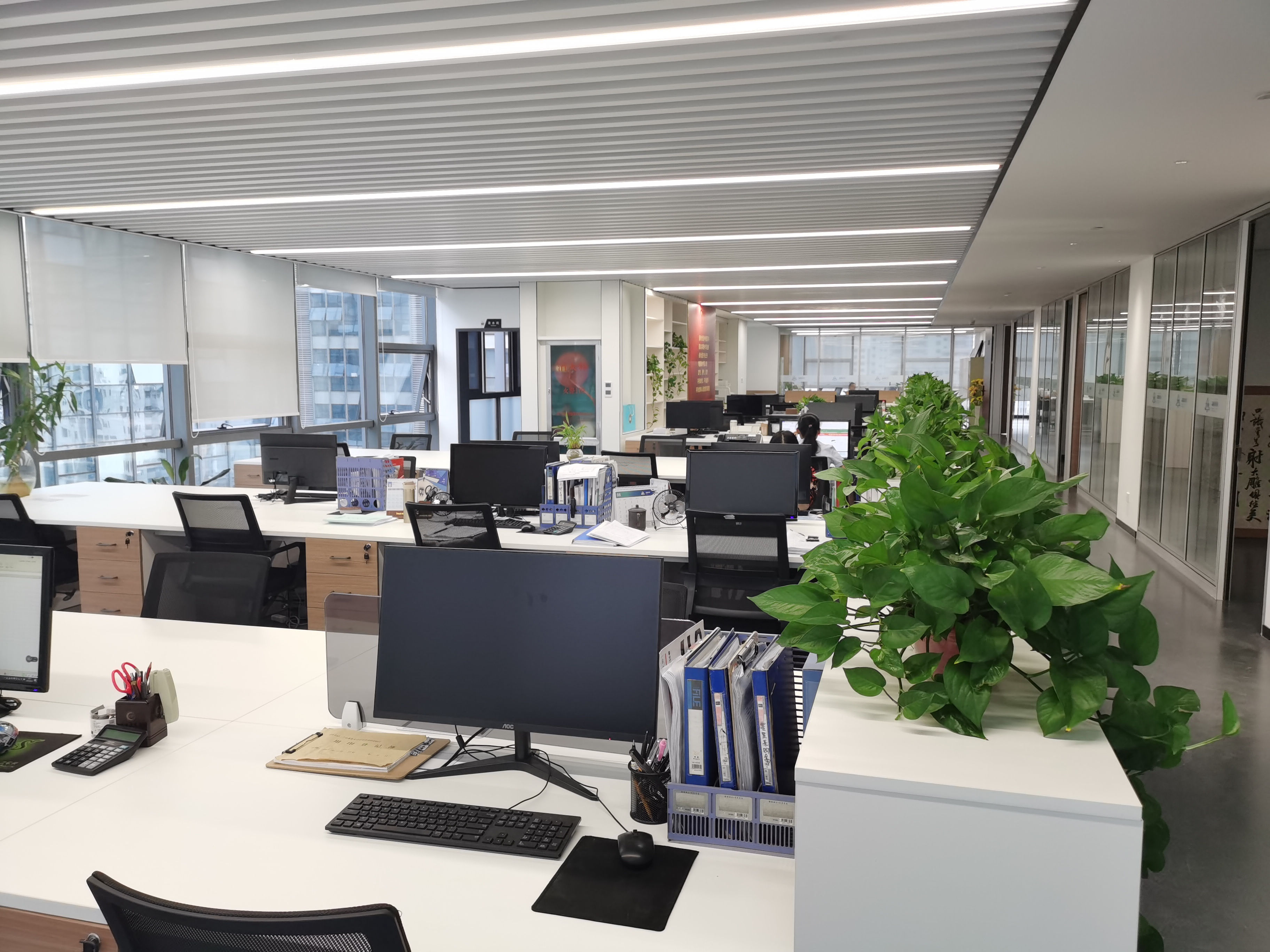 彩虹多多·正版(中国)官方网站