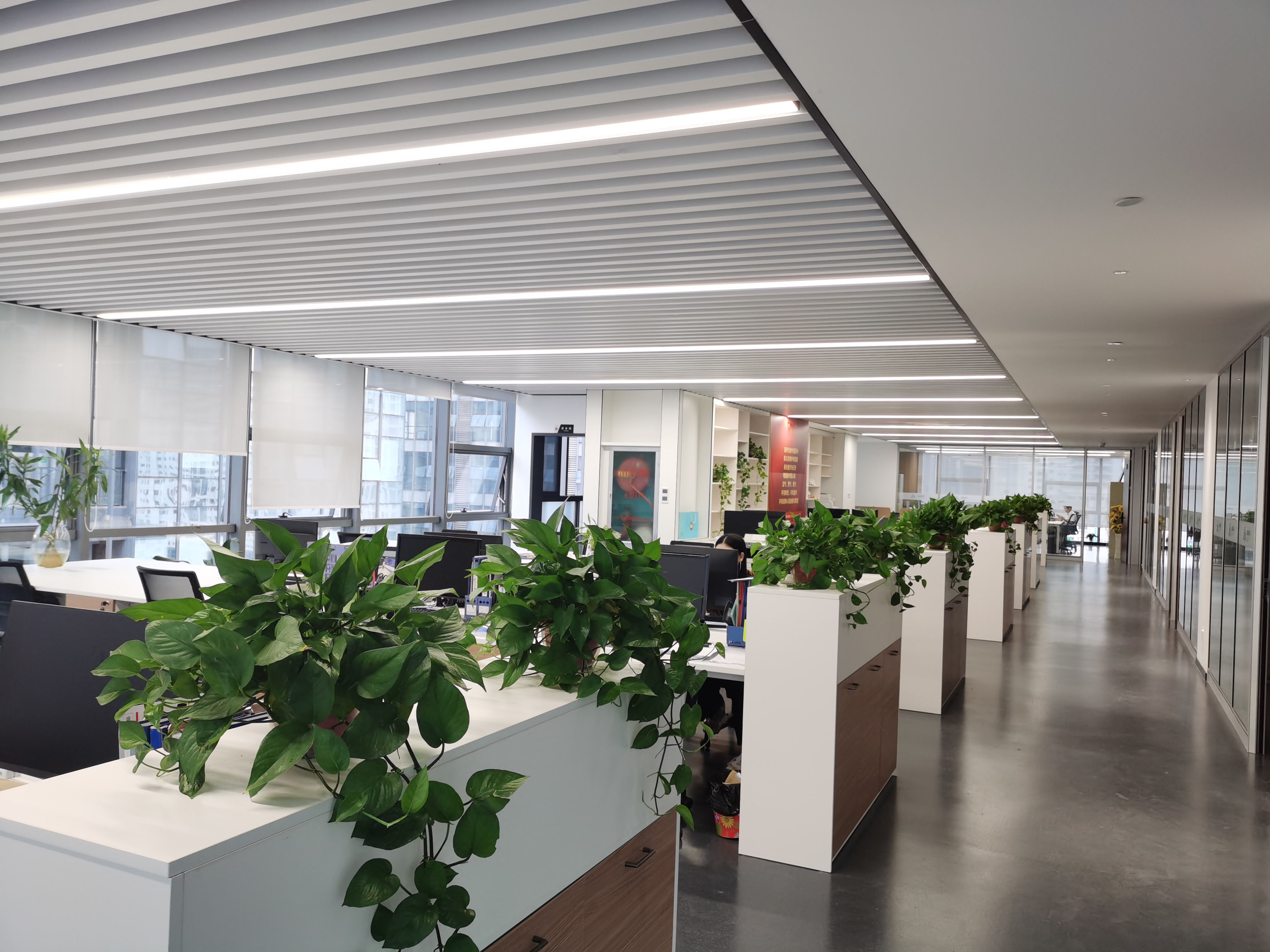 彩虹多多·正版(中国)官方网站