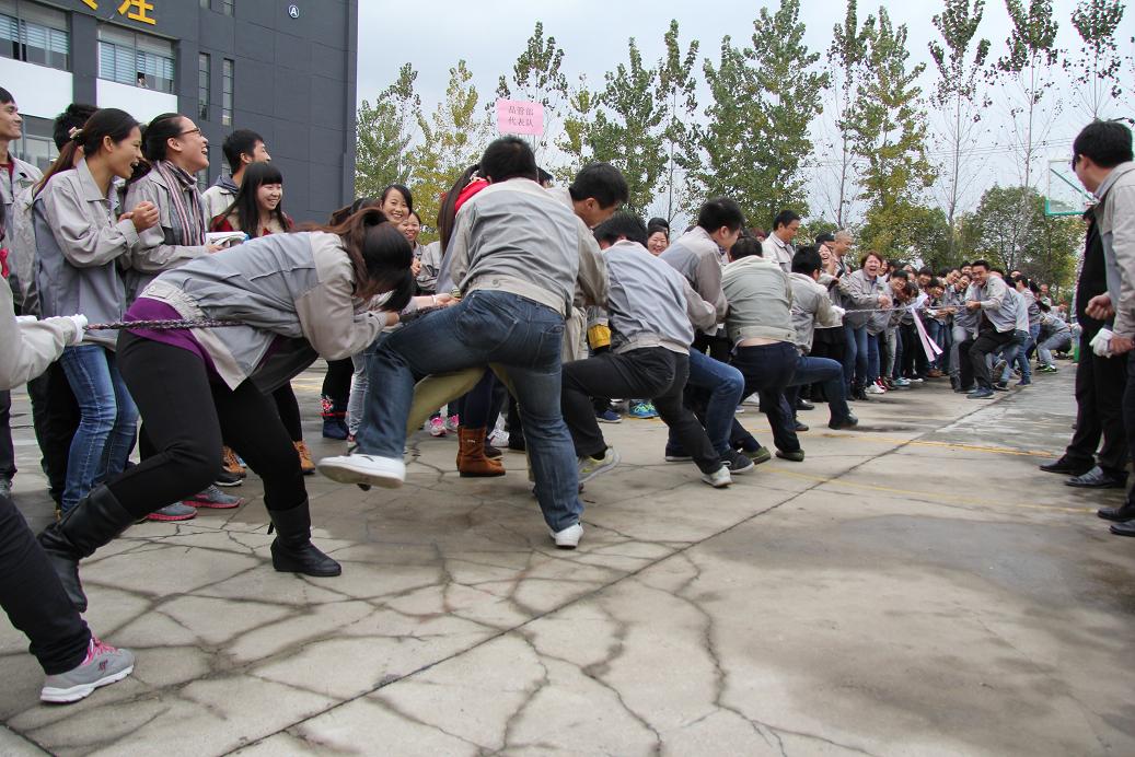 九洲国际官网-不凡成就非凡,相信品牌力量